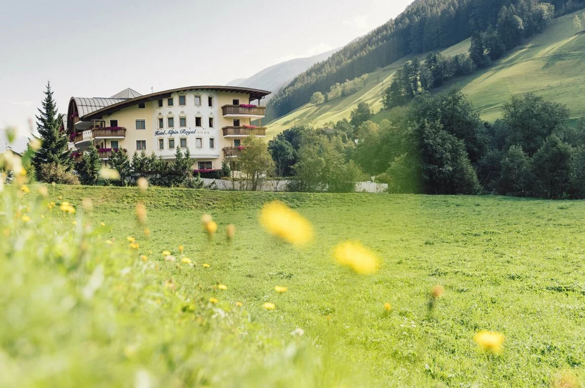Ahrntal stay, South Tyrol - Nature; mountain adventure