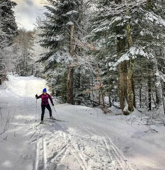 Winter- und Sommerurlaub Ahrntal im Hotel Alpin Royal