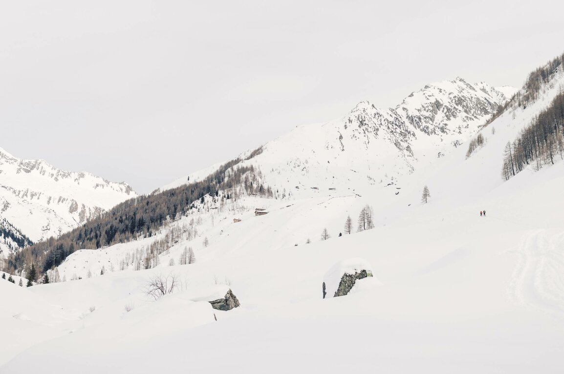 Winterurlaub Ahrntal ☛ Skifahren Klausberg, Speikboden